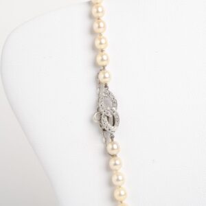 sku1738.3-scaled-1.jpg