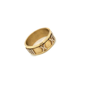 Anillo Oro 18kt atlas